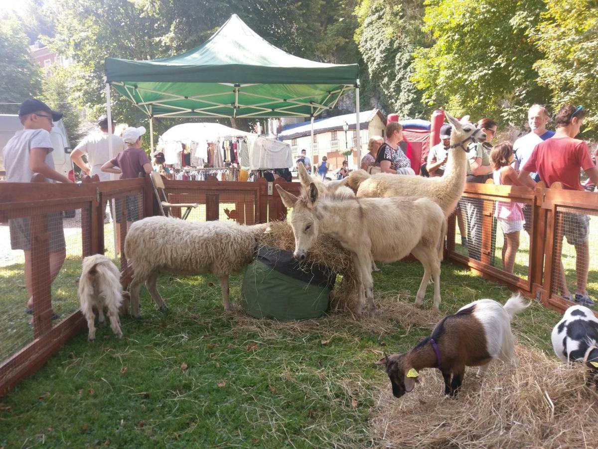 Residence Du Parc Avec Sauna Eaux-Bonnes Zewnętrze zdjęcie